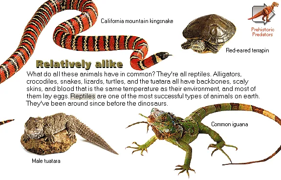 Relatively alike