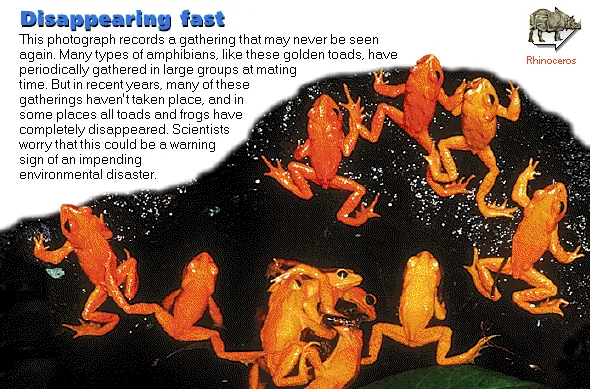 Disappearing fast