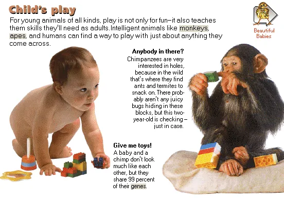 Child's play