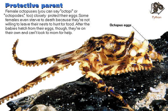 Protective parent