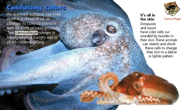 Confusing colors