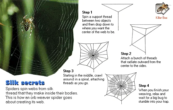 Silk secrets