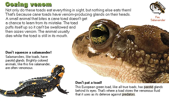 Oozing venom
