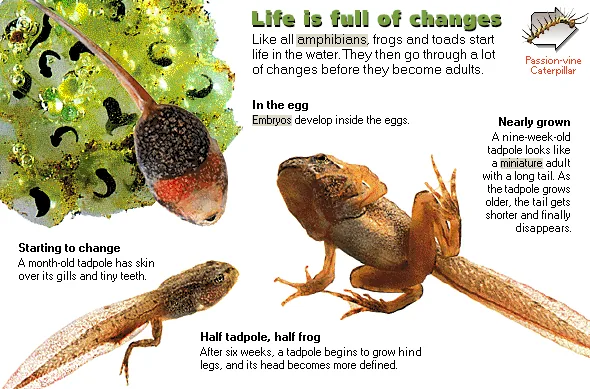 Life is full of changes