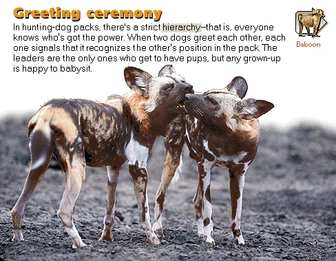Greeting ceremony