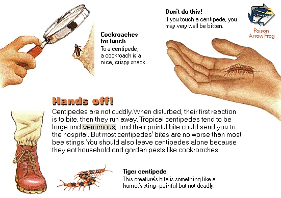 Hands off!