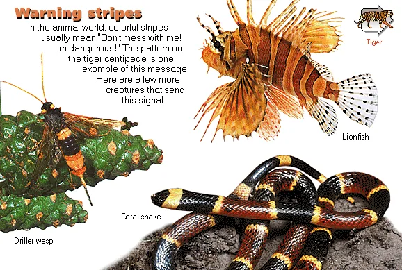Warning stripes