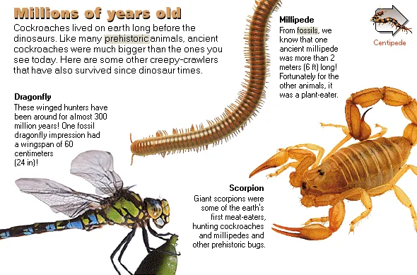 Millions of years old