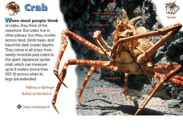 Crab