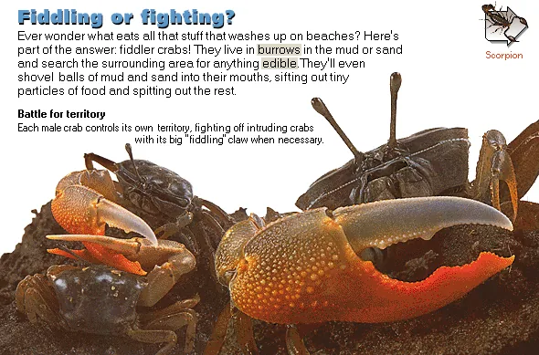 Fiddling or fighting?
