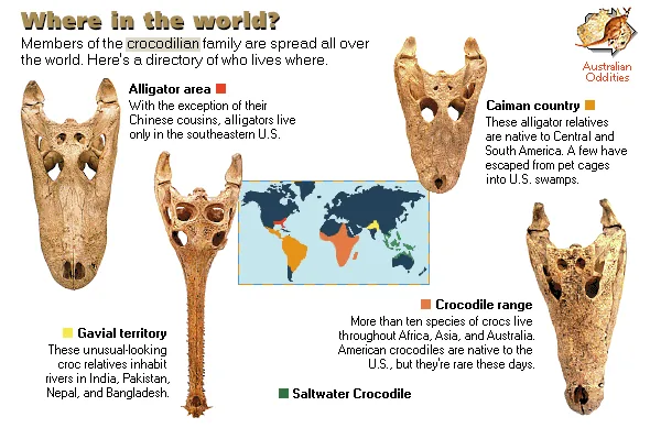 Where in the world?