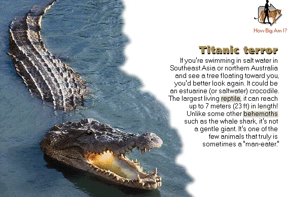 Titanic terror