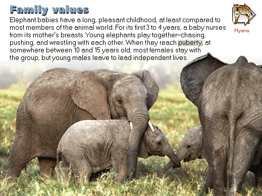 Family values