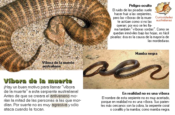Víbora de la muerte