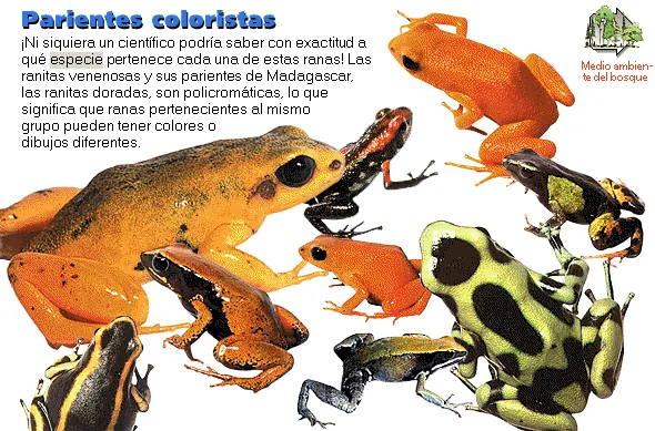 Parientes coloristas