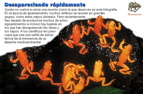 Desapareciendo rápidamente