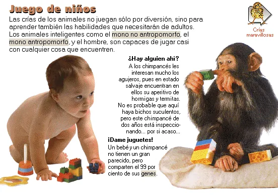 Juego de niños