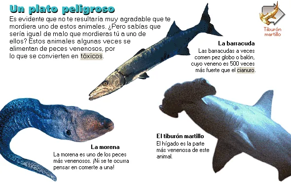 Un plato peligroso