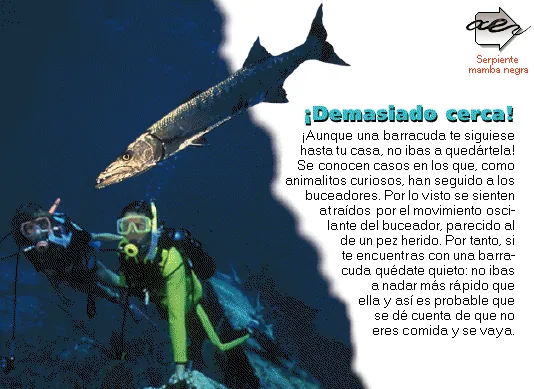¡Demasiado cerca!
