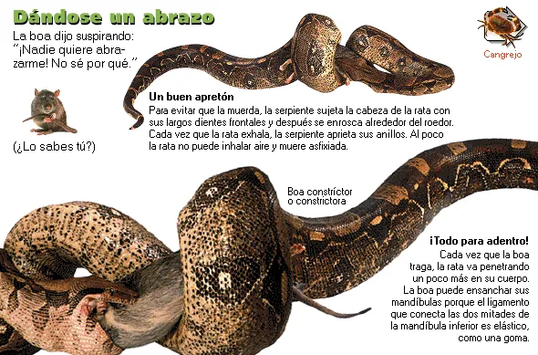 Dándose un abrazo