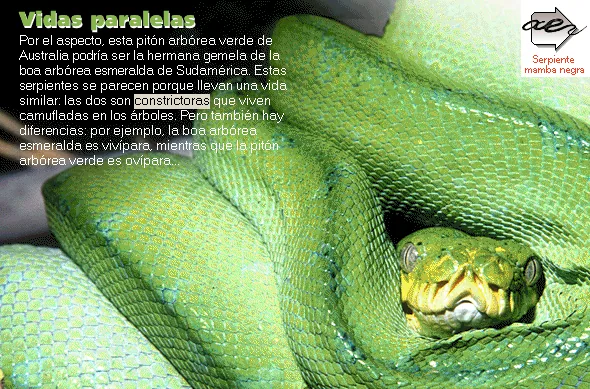 Vidas paralelas