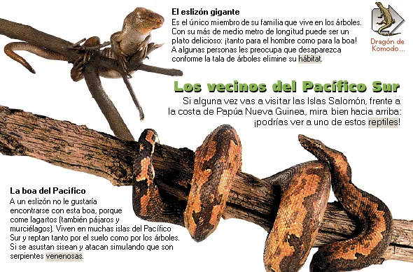 Los vecinos del Pacífico Sur