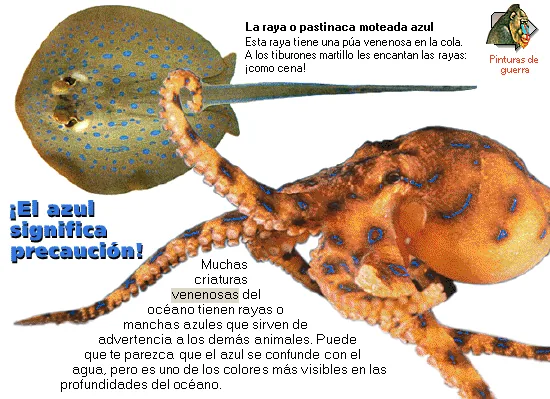 ¡El azul significa precaución!