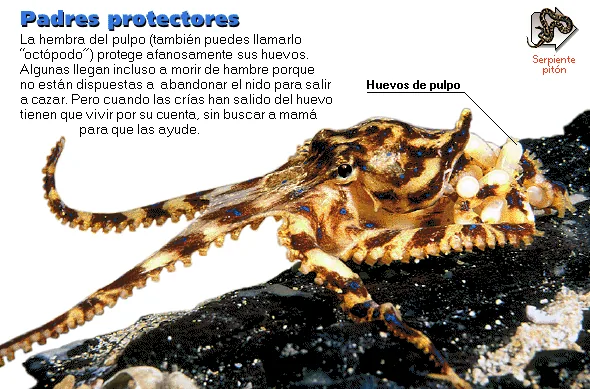 Padres protectores