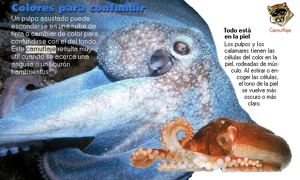 Colores para confundir