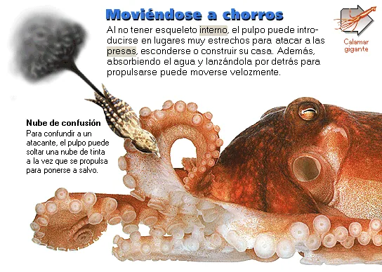 Moviéndose a chorros
