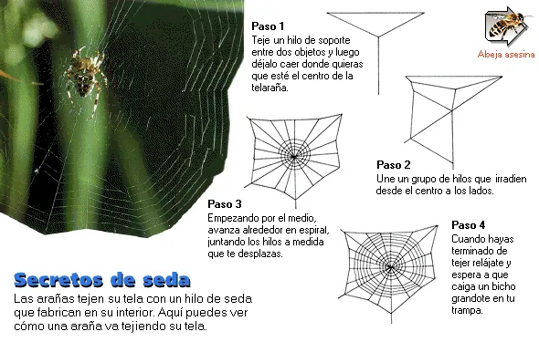 Secretos de seda