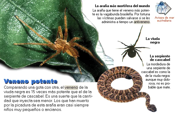 Veneno potente