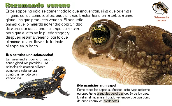 Rezumando veneno