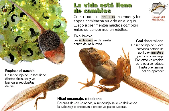 La vida está llena de cambios