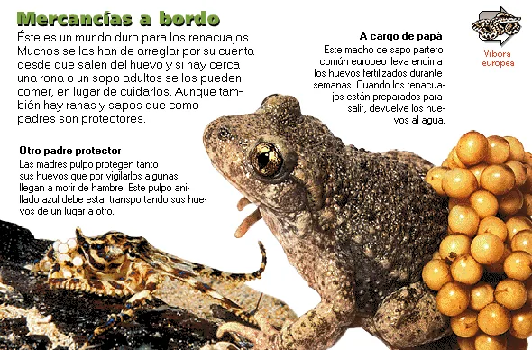 Mercancías a bordo