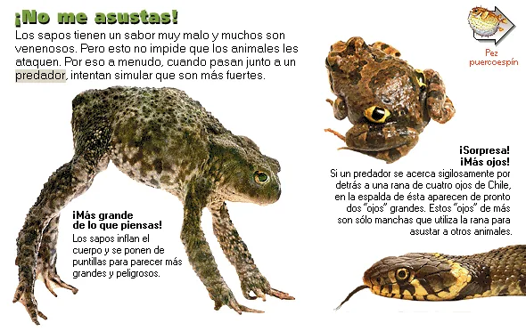 ¡No me asustas!