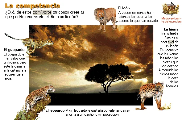 La competencia