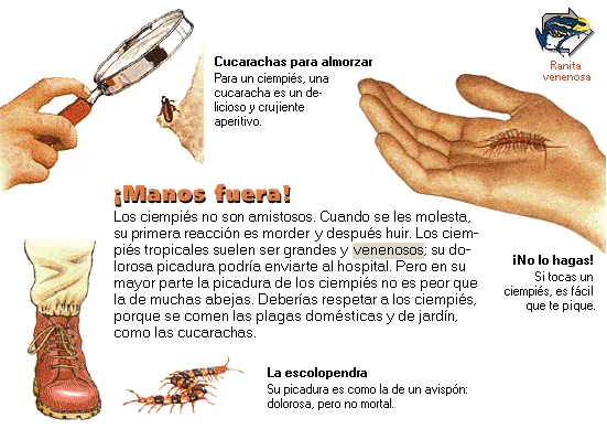 ¡Manos fuera!