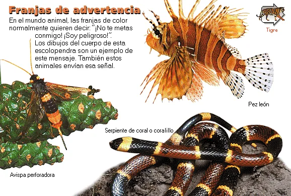 Franjas de advertencia