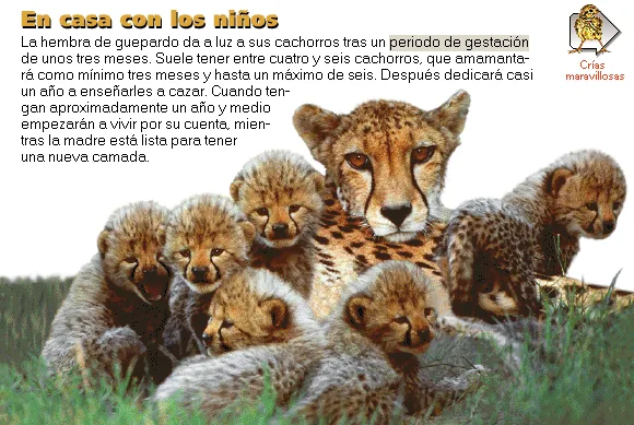 En casa con los niños