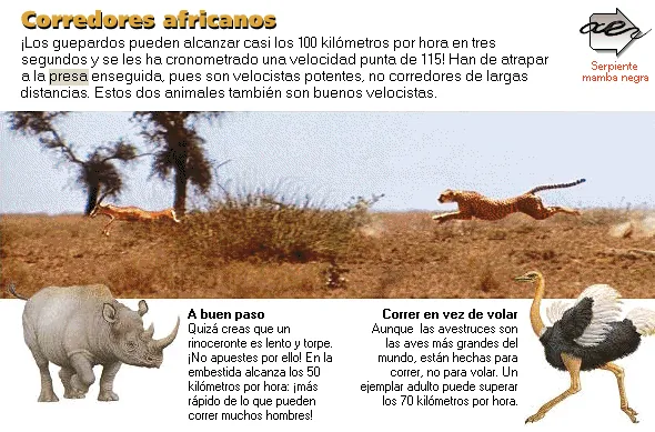 Corredores africanos