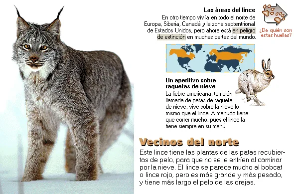 Vecinos del norte