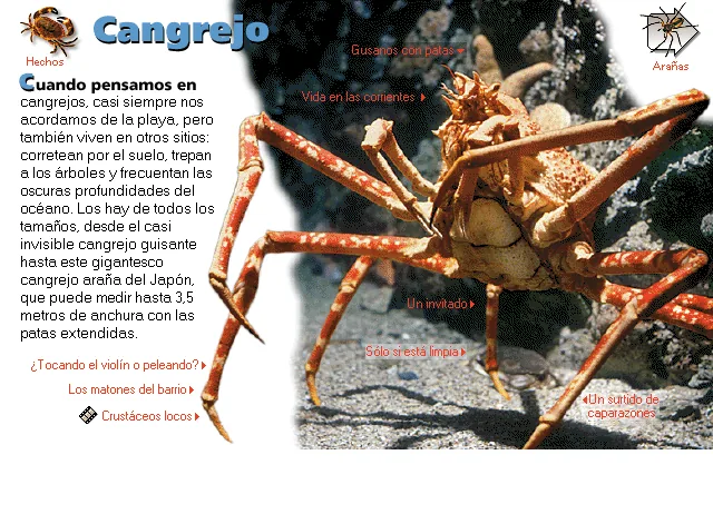 Cangrejo