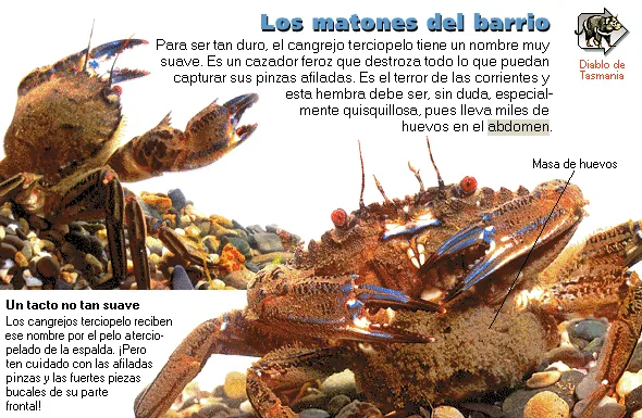 Los matones del barrio