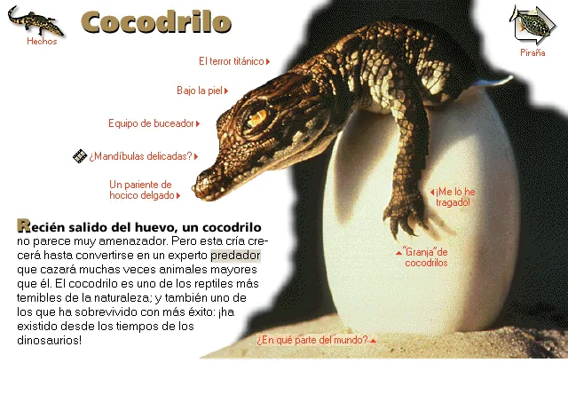 Cocodrilo
