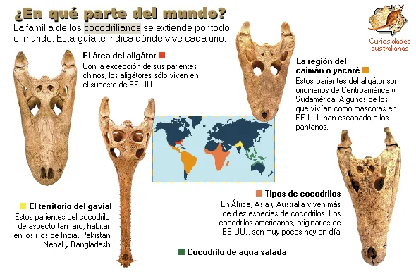 ¿En qué parte del mundo?