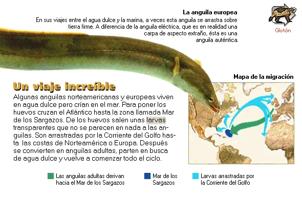 Un viaje increíble