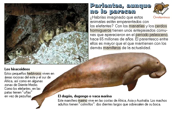 Parientes, aunque no lo parecen