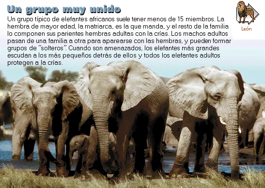 Un grupo muy unido