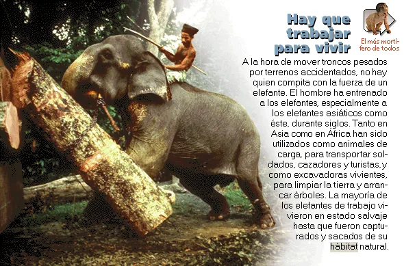 Hay que trabajar para vivir